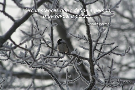 Circumstances reveal